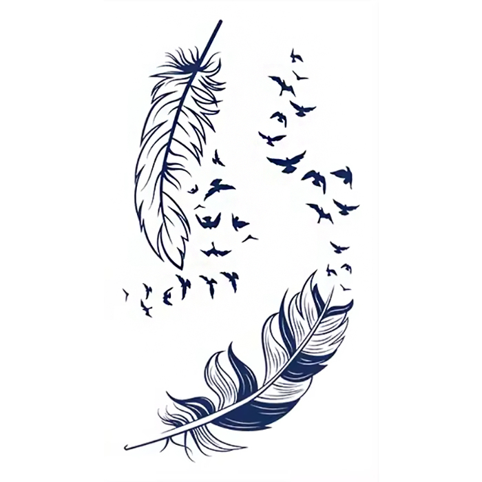 Federn & Vogelfreiheit – Bild 2