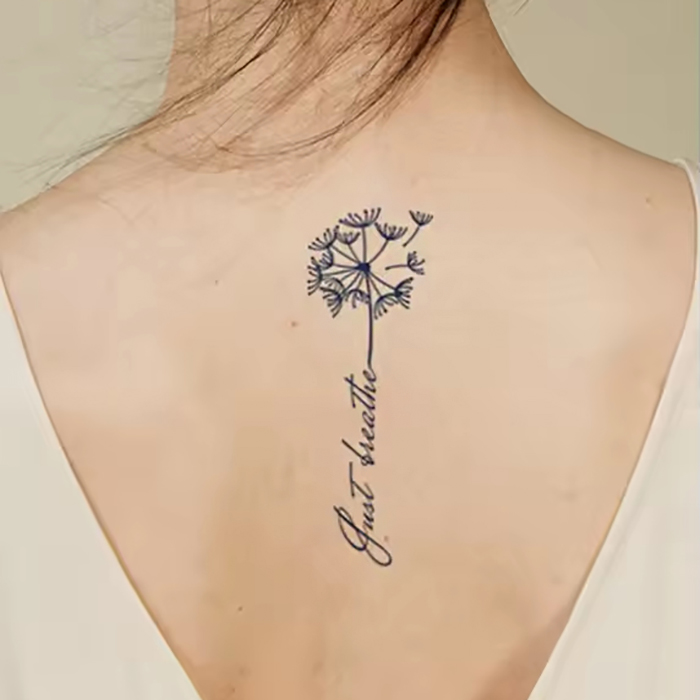 Pusteblumenlinien – Bild 1