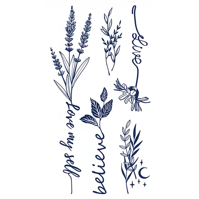 Kräuter & Linien – Bild 2